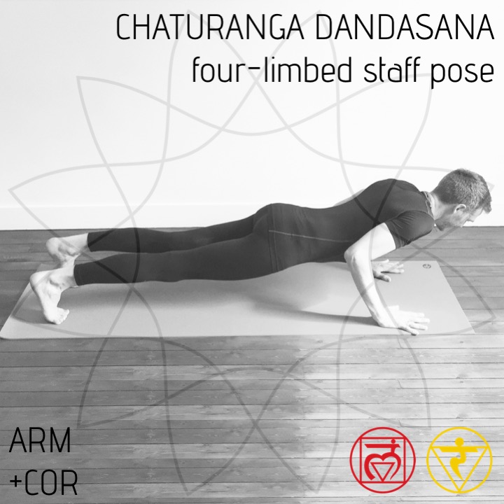 Four Limbed Staff Pose (Chaturanga Dandasana)